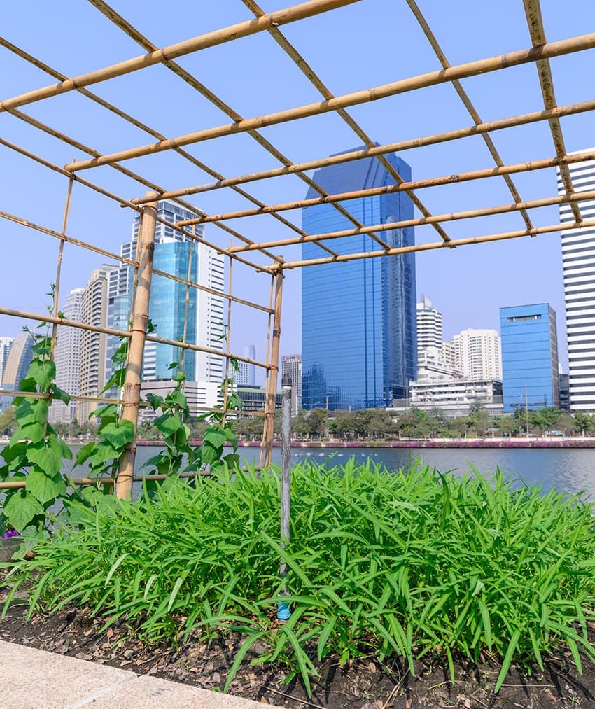 Reconnecting cities with food and farmers