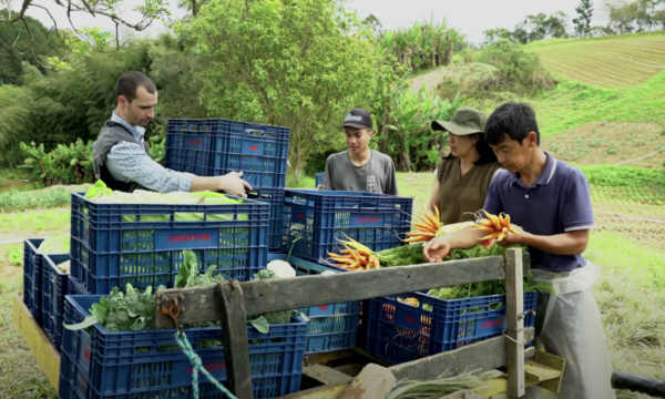 Novo mini-documentário mostra transformação circular do sistema de alimentos em São Paulo